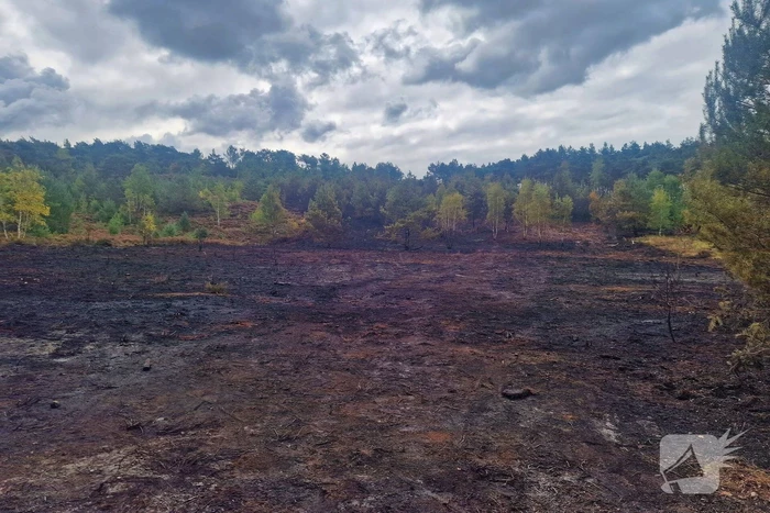 Heidebrand veroorzaakt forse schade