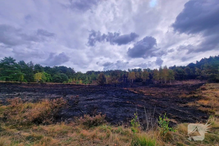 Heidebrand veroorzaakt forse schade