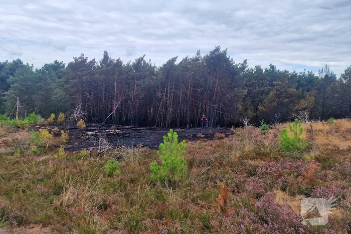 Heidebrand veroorzaakt forse schade