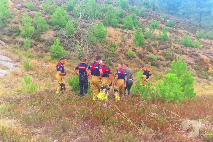 Heidebrand veroorzaakt forse schade