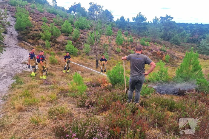 Heidebrand veroorzaakt forse schade