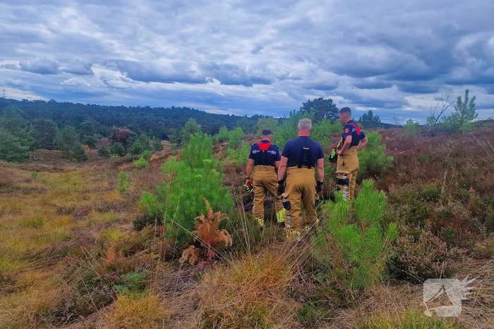 Heidebrand veroorzaakt forse schade