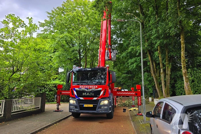 brandweer verwijdert gevaarlijke tak