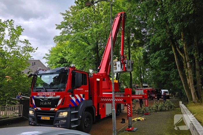 brandweer verwijdert gevaarlijke tak
