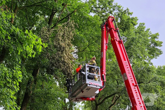brandweer verwijdert gevaarlijke tak