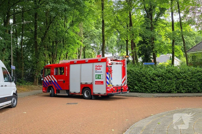 brandweer verwijdert gevaarlijke tak