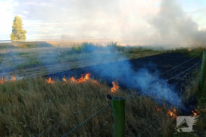 Bermbrand ontdekt vanaf snelweg