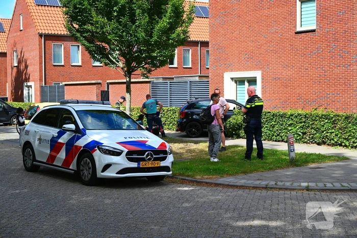 Automobilist botst tegen woning