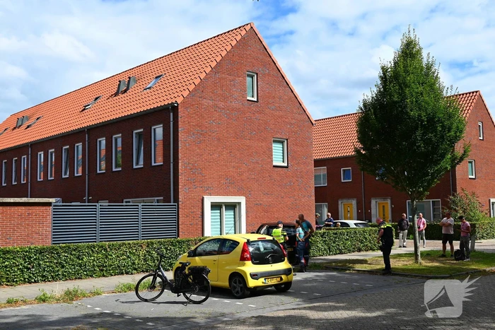 Automobilist botst tegen woning