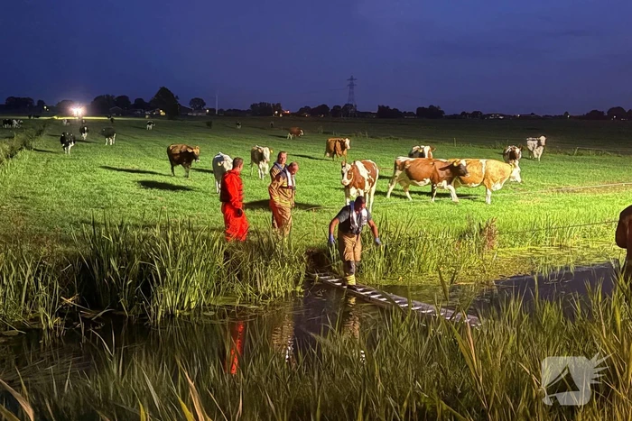 Reddingsactie door brandweer en boer