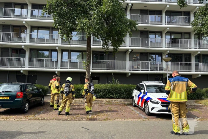brand de bird leeuwarden