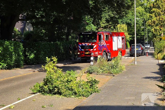 natuur vossenweg bennekom