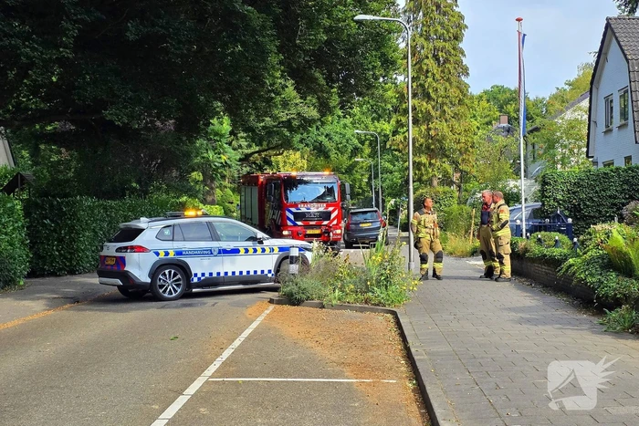 Brandweer verwijdert gevaarlijke hangende tak