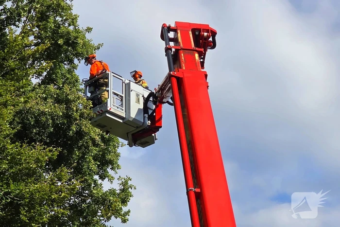 Brandweer verwijdert gevaarlijke hangende tak