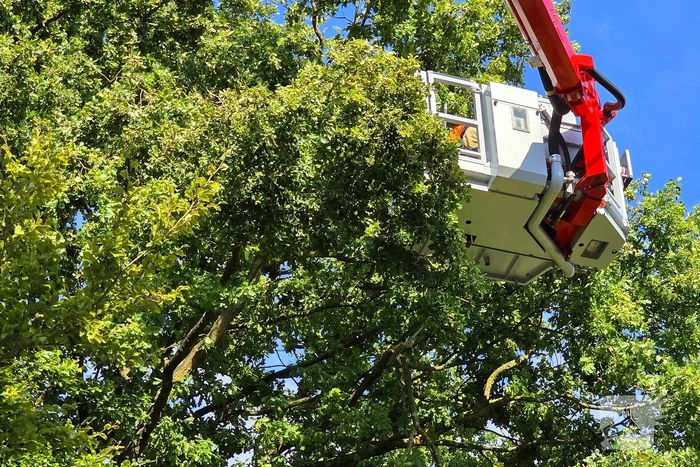 Brandweer verwijdert gevaarlijke hangende tak