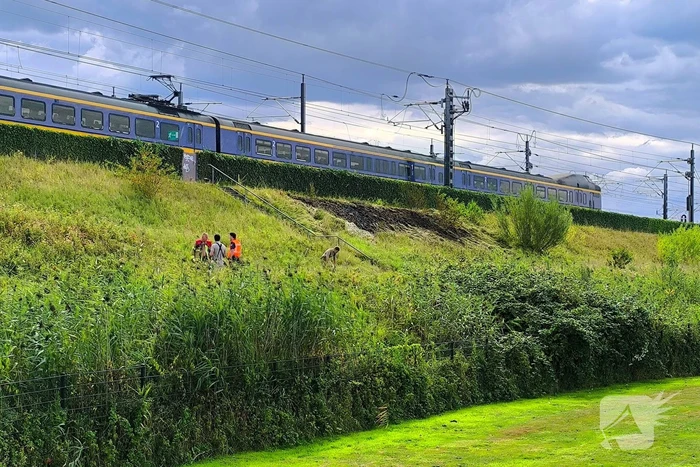 Brand naast spoor brengt inzet brandweer