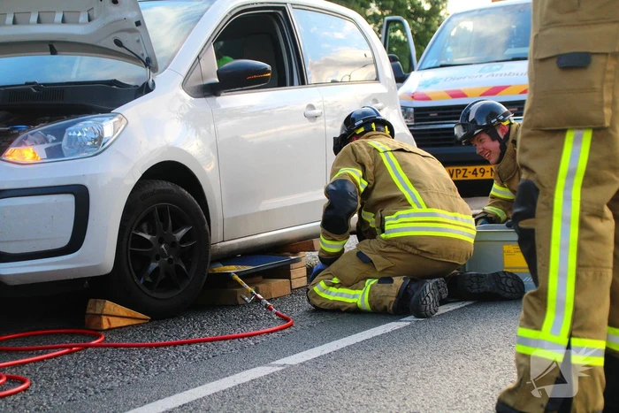 Kat bevrijdt uit motorcompartiment