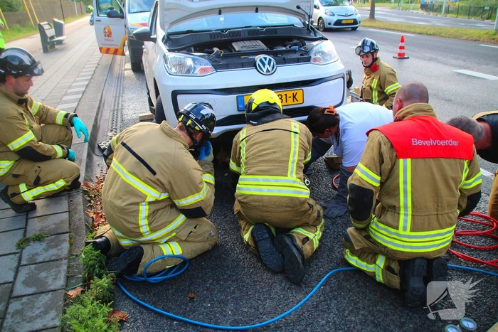 Kat bevrijdt uit motorcompartiment