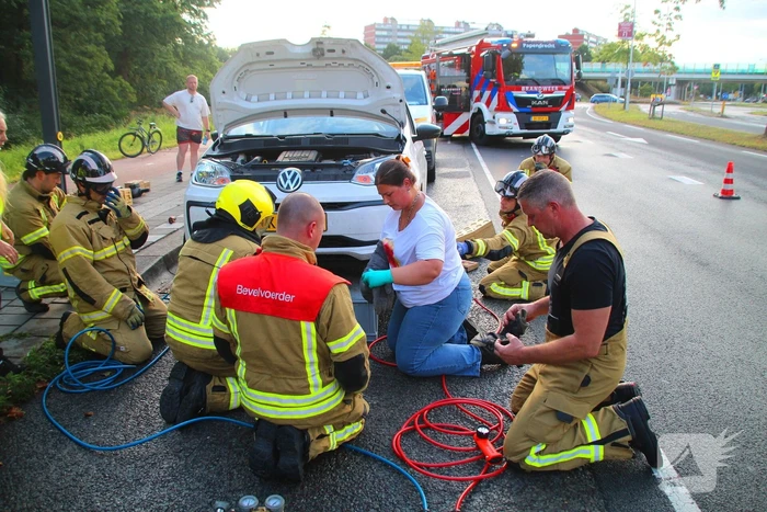 Kat bevrijdt uit motorcompartiment