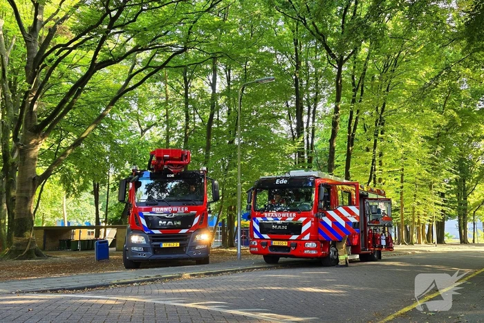 Boom valt op kinderwagen op schoolplein