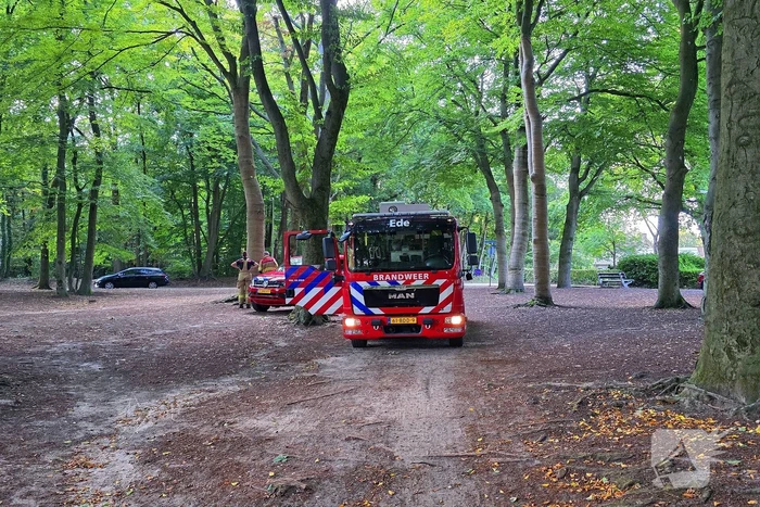 Boom valt op kinderwagen op schoolplein