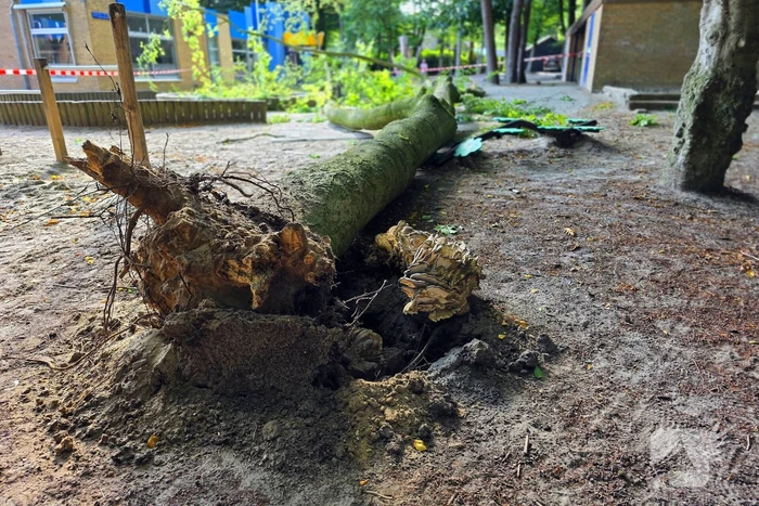 Boom valt op kinderwagen op schoolplein