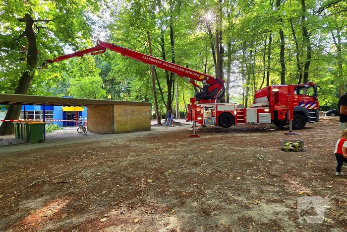 Boom valt op kinderwagen op schoolplein