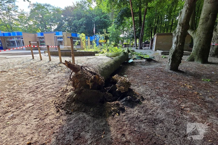 Boom valt op kinderwagen op schoolplein