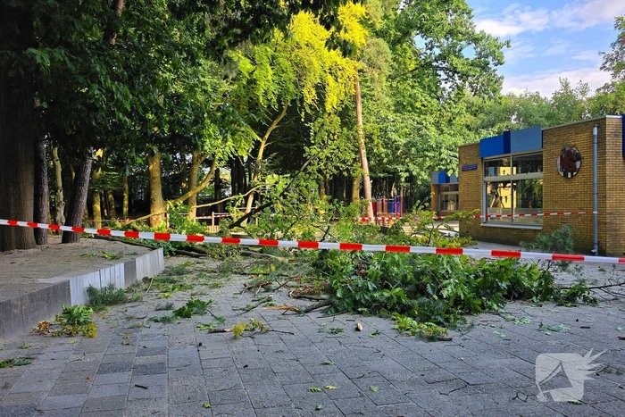 Boom valt op kinderwagen op schoolplein