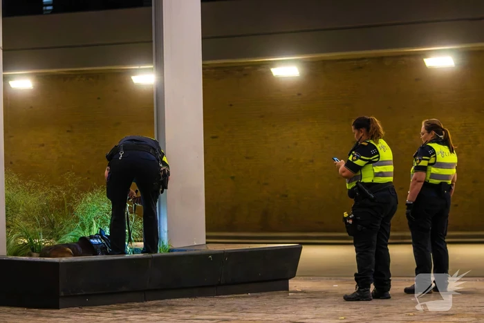 Vier aanhoudingen na vechtpartij