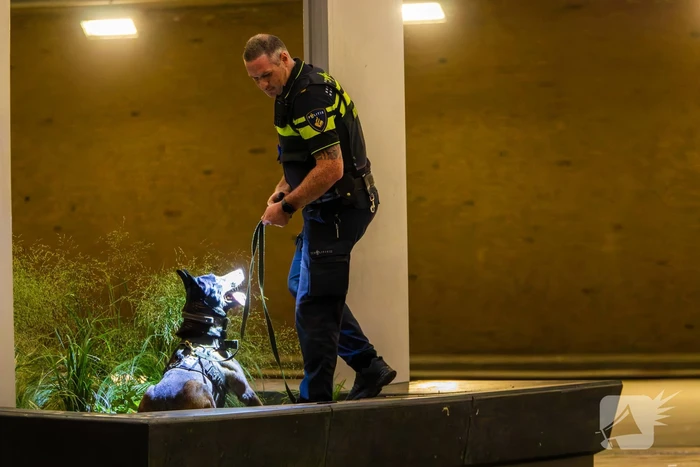 Vier aanhoudingen na vechtpartij