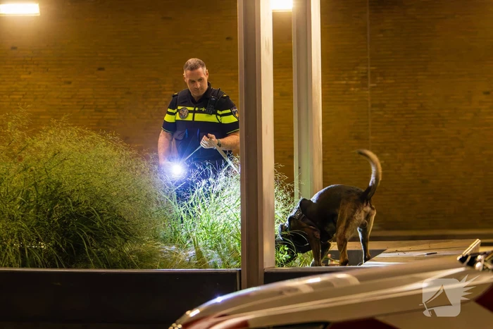 Vier aanhoudingen na vechtpartij