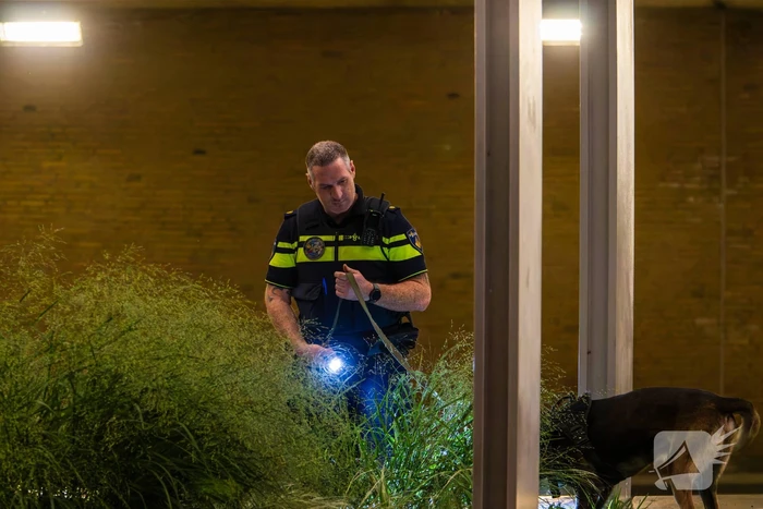 Vier aanhoudingen na vechtpartij