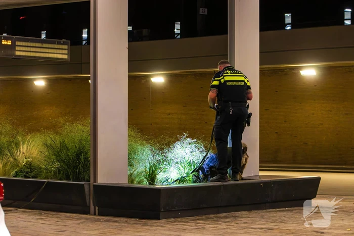 Vier aanhoudingen na vechtpartij