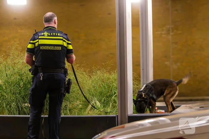 Vier aanhoudingen na vechtpartij