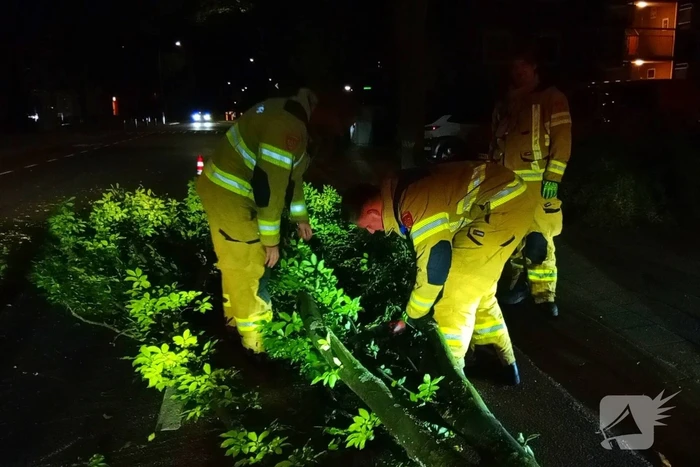 Brandweer verwijdert afgebroken boomtak