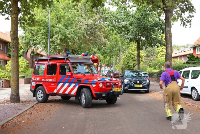 Bosbrand snel onder controle