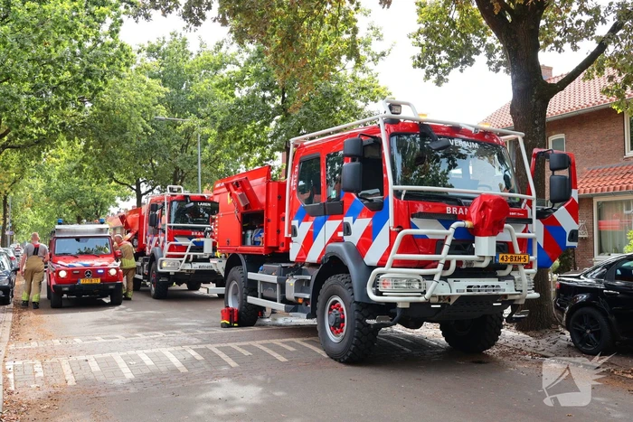 Bosbrand snel onder controle