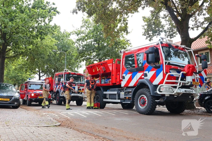 Bosbrand snel onder controle