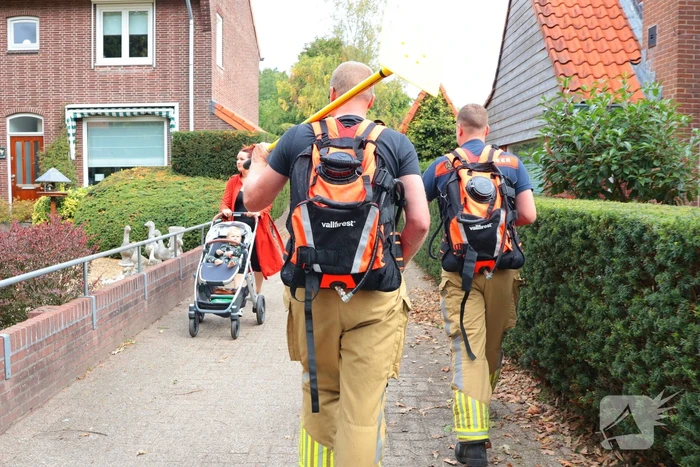 Bosbrand snel onder controle