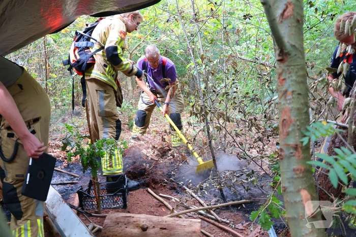 Bosbrand snel onder controle