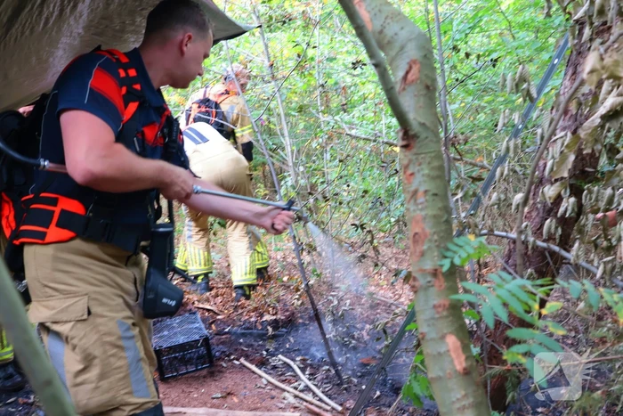 Bosbrand snel onder controle