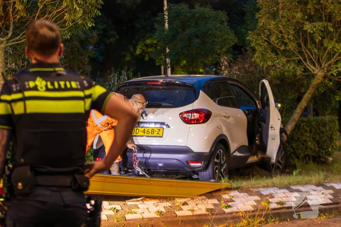 Automobilist belandt op rotonde en klapt op boom