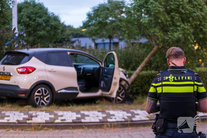 Automobilist belandt op rotonde en klapt op boom