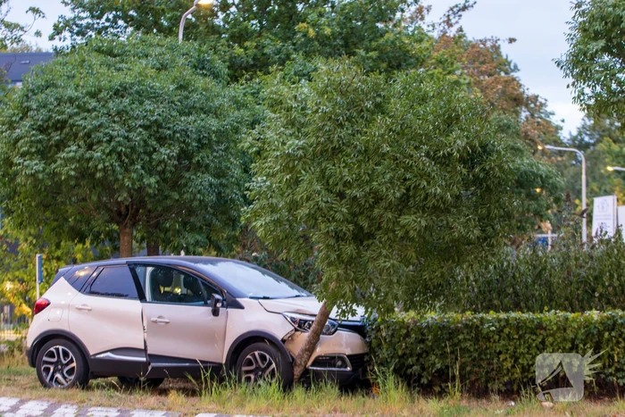 Automobilist belandt op rotonde en klapt op boom