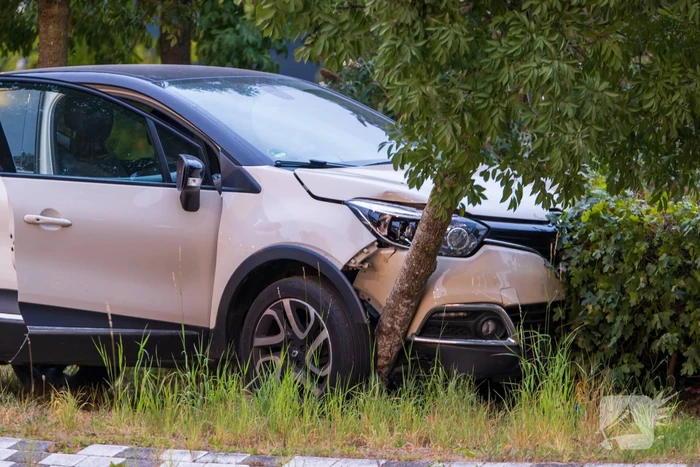 Automobilist belandt op rotonde en klapt op boom