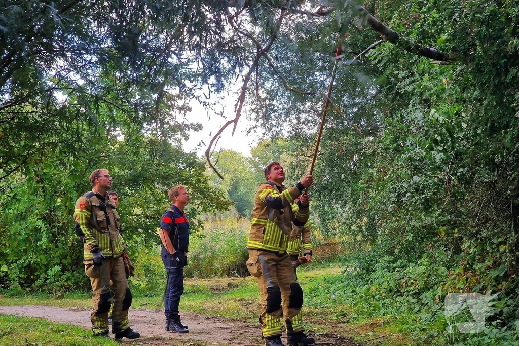 Beulakerwiede Nieuws Zwolle 