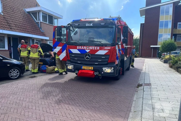 Kat vast in auto, brandweer schiet te hulp