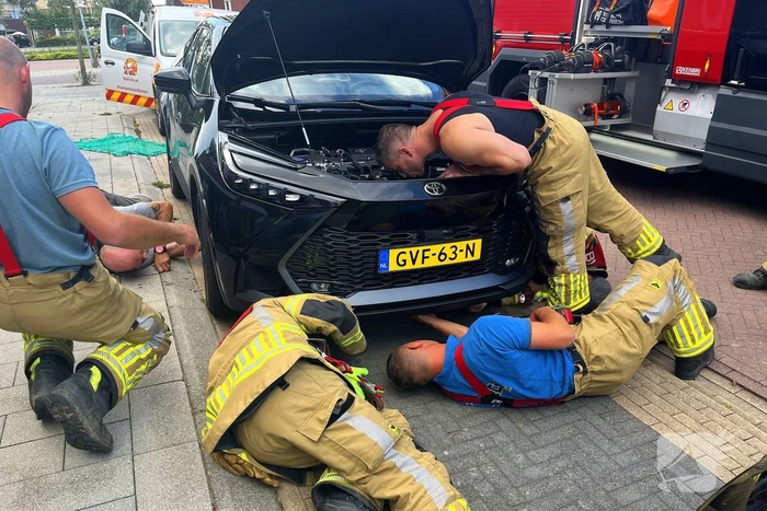 Kat vast in auto, brandweer schiet te hulp