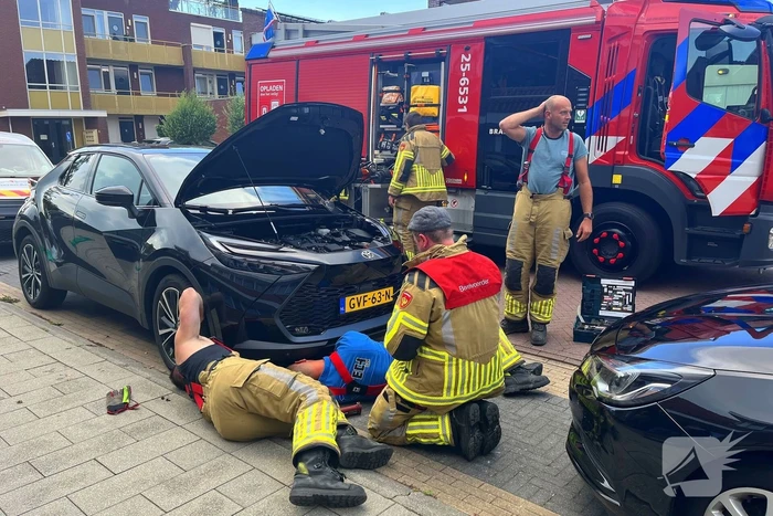 Kat vast in auto, brandweer schiet te hulp